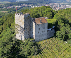 Hrad Habsburg